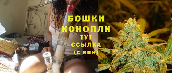 дживик Беломорск