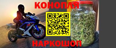 СК Заводоуковск