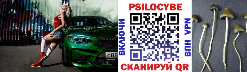 Галлюциногенные грибы прущие грибы  ОМГ ОМГ ссылка  Северобайкальск 