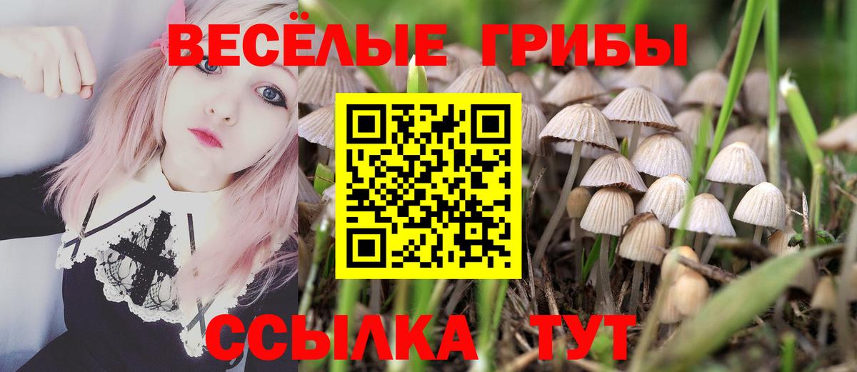 Галлюциногенные грибы Magic Shrooms Северобайкальск