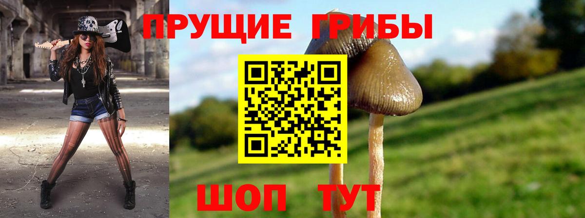 наркота  Псилоцибиновые грибы ЛСД  Вход с VPN  Галлюциногенные грибы Psilocybine cubensis  Северобайкальск 